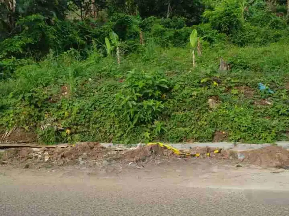 tanah 4 ha di bakung teluk barat