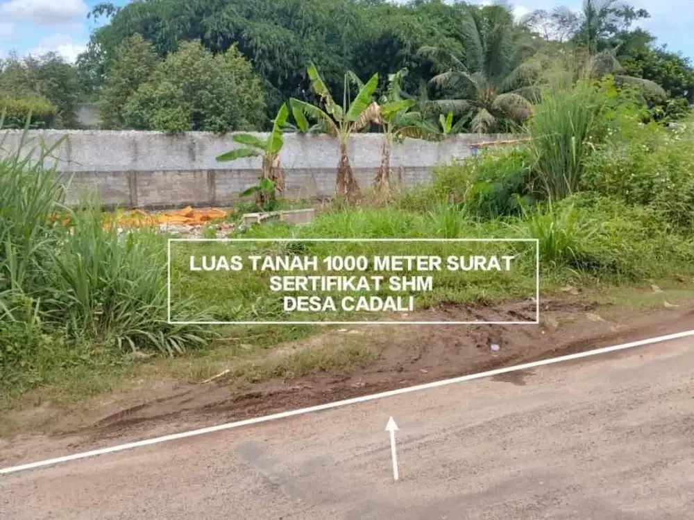 TANAH MURAH DI JALAN UTAMA PABUARAN DESA CANDALI BOGOR TANAH BAGUS DAN STRATEGIS