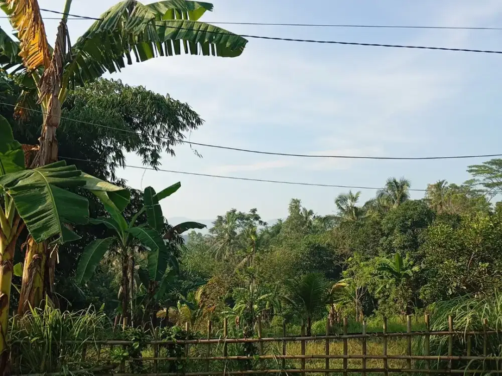 DIJUAL CEPAT TANAH PINGGIR JALAN RAYA AREA BOJONGMANGU BEKASI