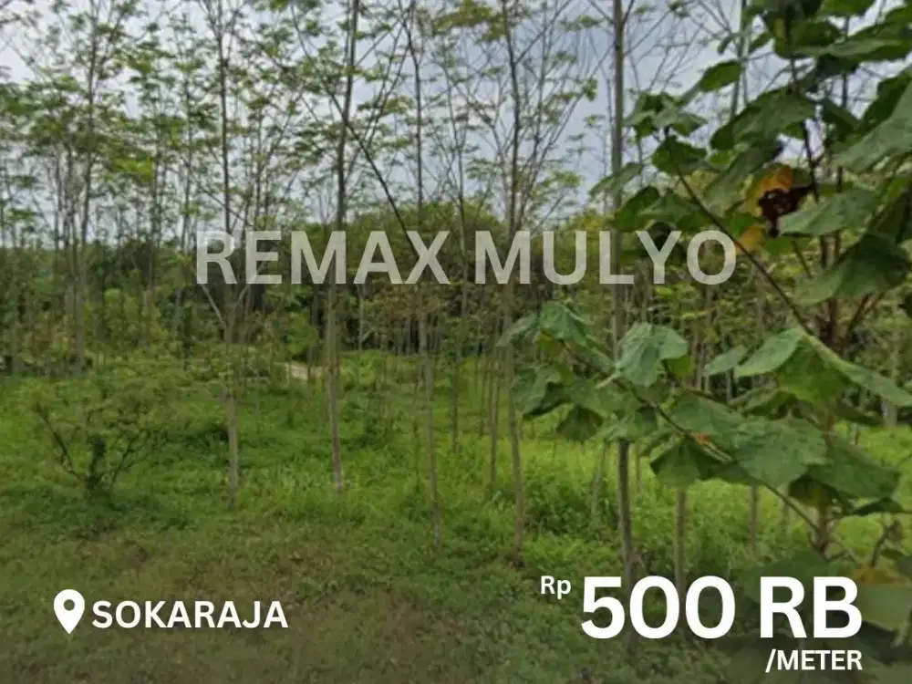 Tanah Dijual di Area Pedesaan Cocok Untuk Usaha/Hunian