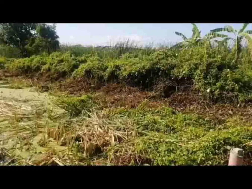 Dijual Murah Tanah 2 Bidang di Rungkut Wonorejo Surabaya