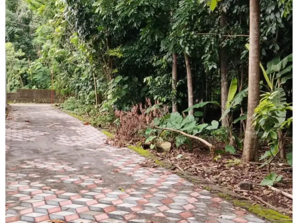 Tanah Lingkungan Kost Area Kampus UII Kaliurang Jogja