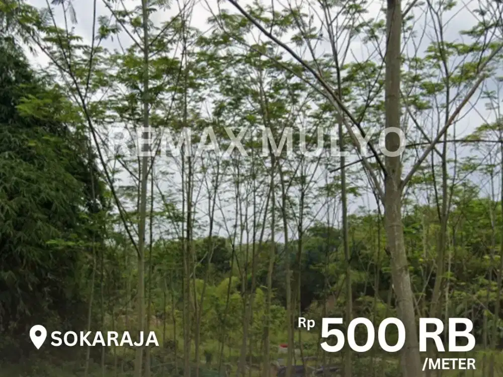 Dijual Tanah Subur Daerah Pedesaan Wilayah Sokaraja