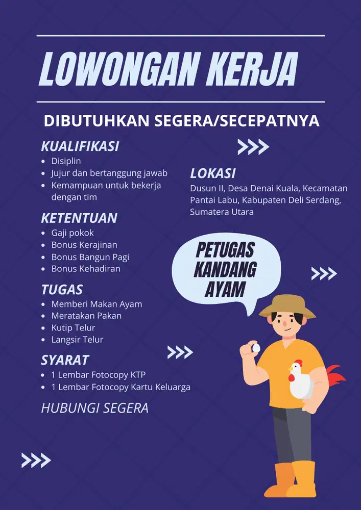 Petugas Peternakan Ayam Petelur