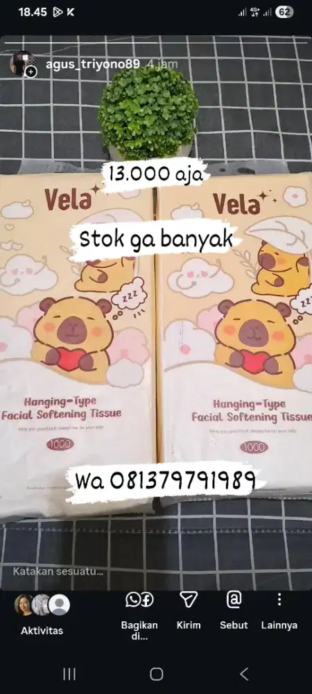 Tisu gantung vela murah