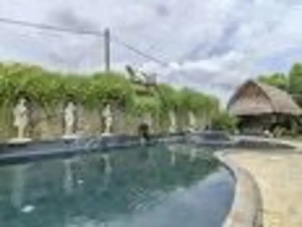Dijual: Tanah 16,79 Are dengan Bonus Vila 7 Kamar Tidur dan Kolam Renang — Umalas, Bali