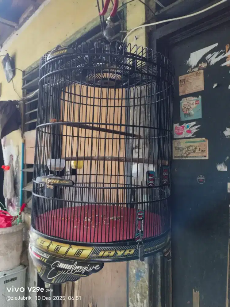Kandang Murai pvc no 3