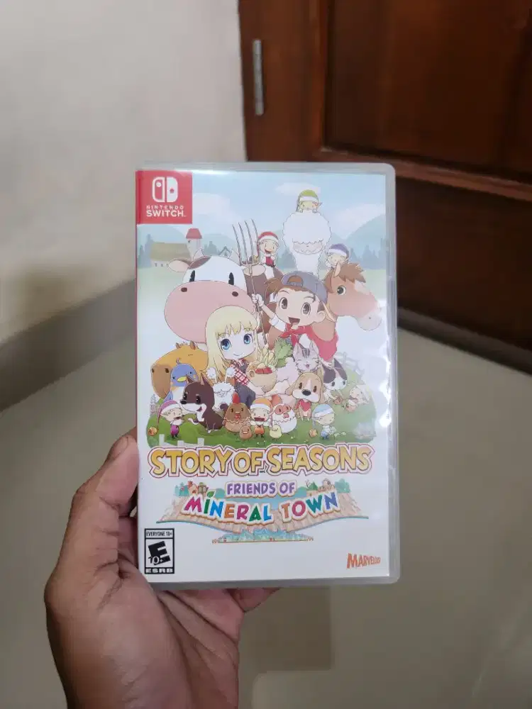 Nintendo Switch story of seasons, 
Zelda, Civilization, dan Fifa 2022