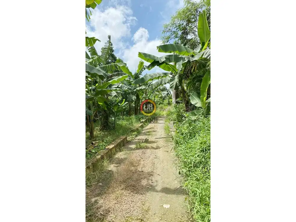 Kavling di Karangampel Kudus