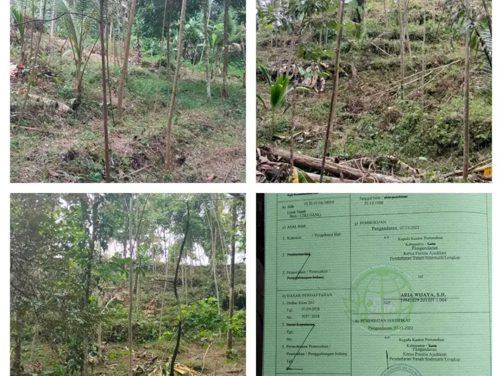 dijual tanah murah dekat Wisata Citumang Pangandaran 212 juta