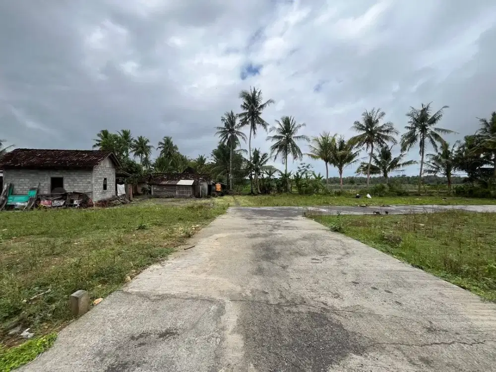 Jl. Nasional Wates-Jogja Tanah Jogja Untuk Rumah Dekat Bandara YIA