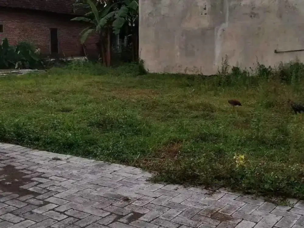 Dijual Kavling Siap Bangun Mondoroko Singosari