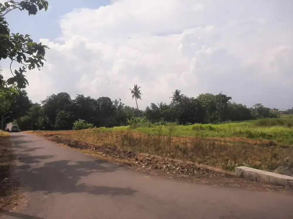 JUAL TANAH MURAH SLEMAN LOKASI BAGUS