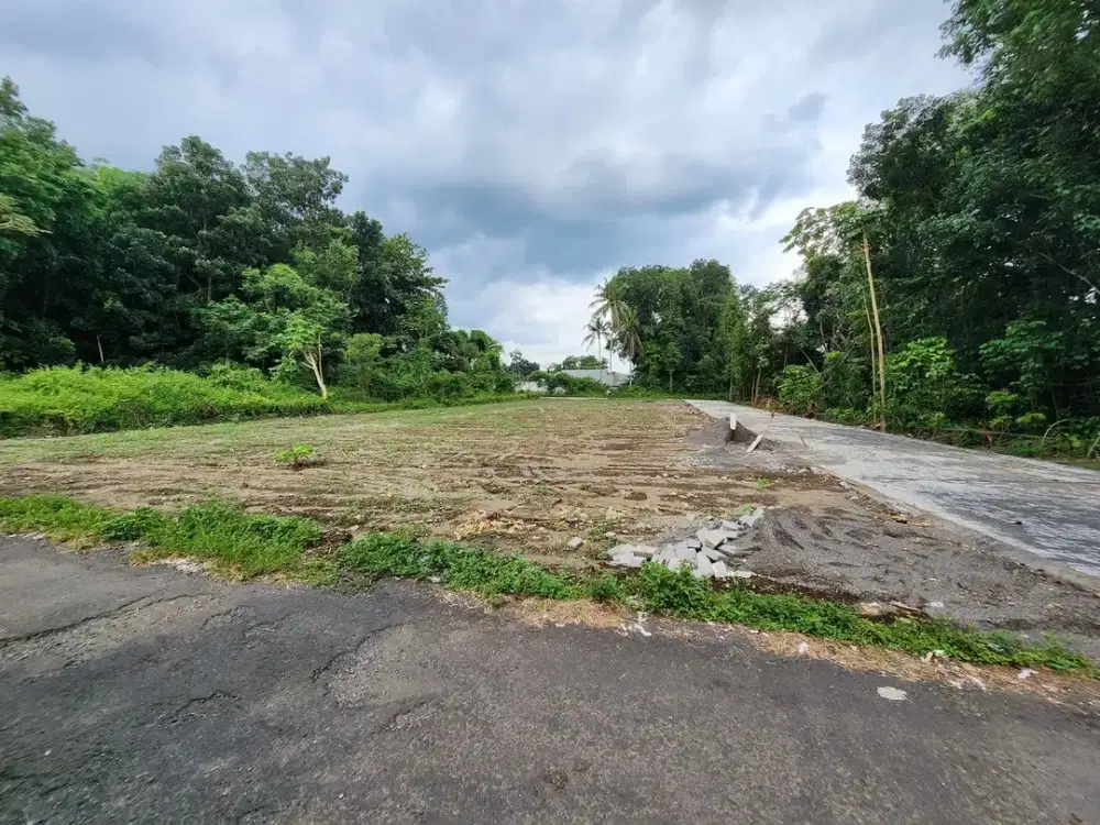 Jl. Pandanaran Sleman Tanah Jogja Sertifikat SHM Dekat Kampus UII