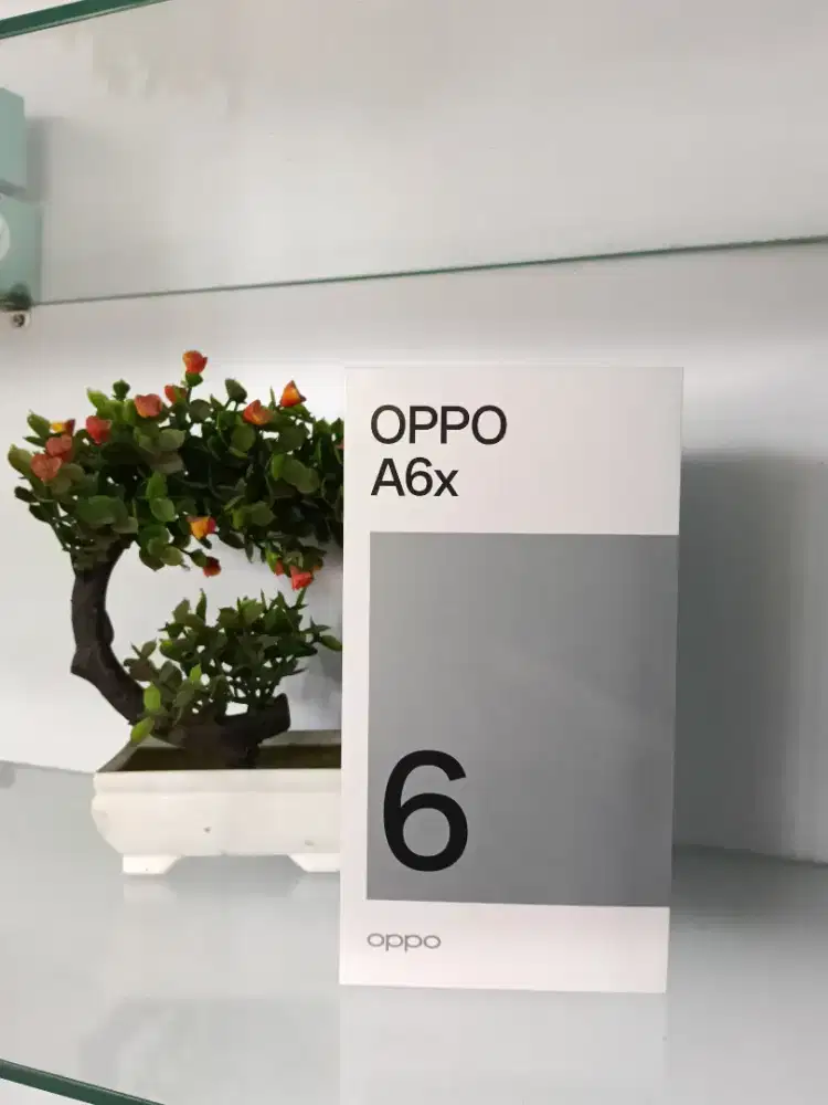 Oppo A6X ram 8/64GB Garansi Resmi