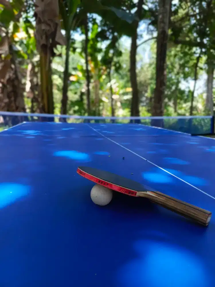 meja tennis pimpong meja table tennis