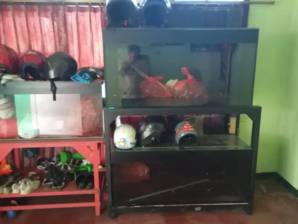 Aquarium bekas arwana