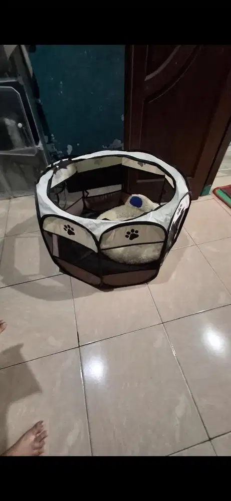 KANDANG ANJING/KUCING