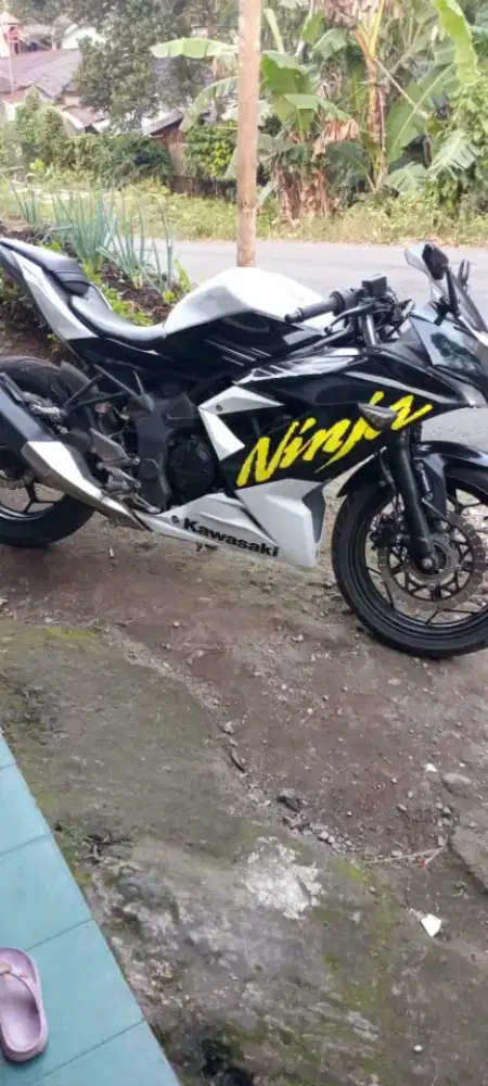 Motor ninja mono 250 cc