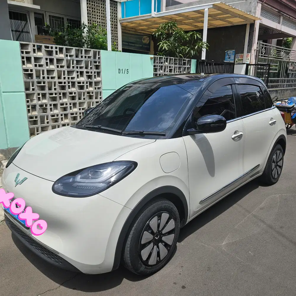 Wuling Binguo EV 2024 Long range 410 km Cash