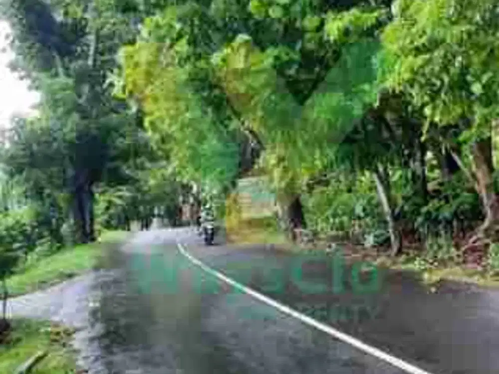 DIJUAL CEPAT TANAH CANTIK DAN MENARIK DAERAH TUMINTING, HARGA SANGAT MURAH