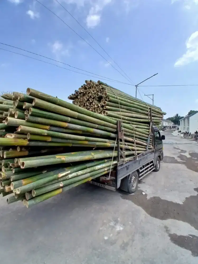 Bambu Pring proyek 4 meter