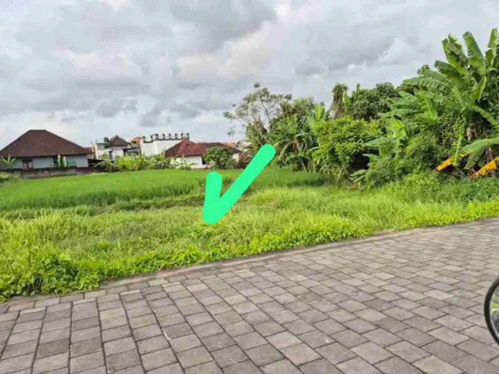 Tanah Global 135m2 utk Villa,Rumah di Tanah Sampi dkt Canggu