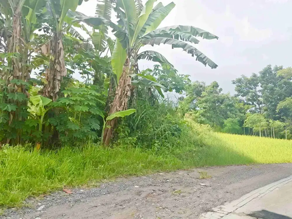 tanah sangat strategis jalan Kaliurang KM 9 area perumahan