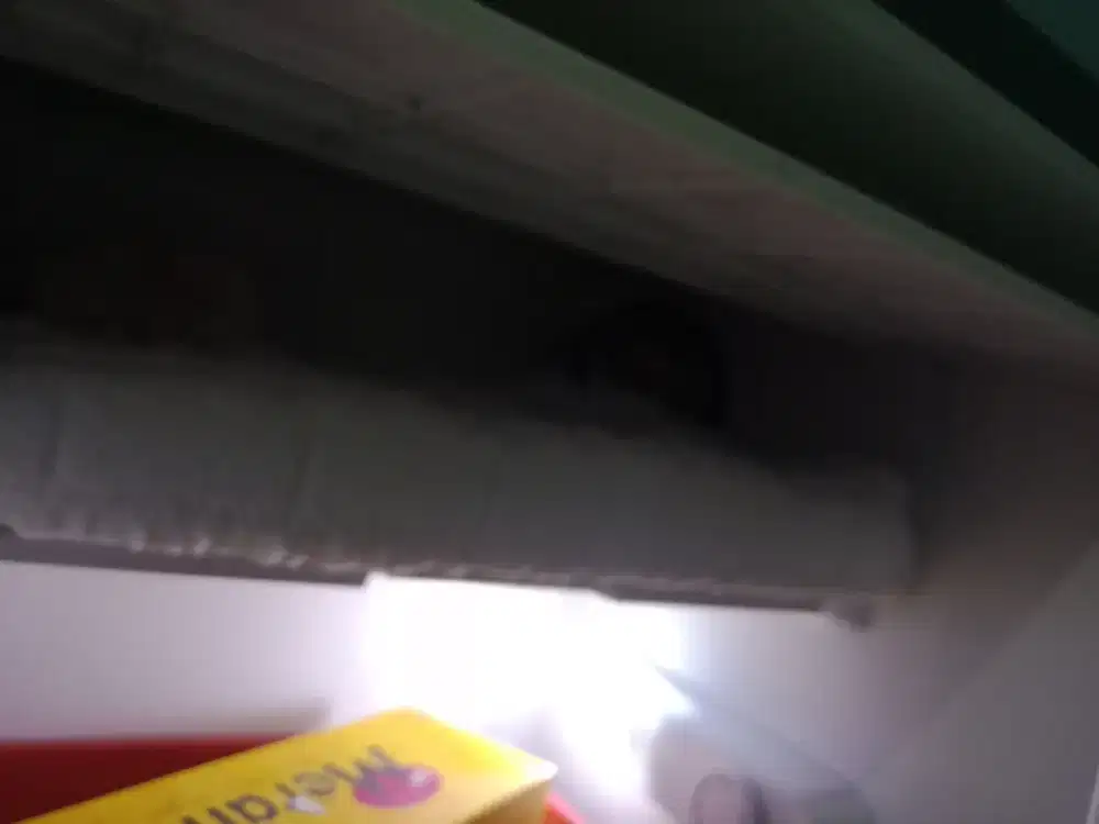 KULKAS 1 PINTU - HISENSE