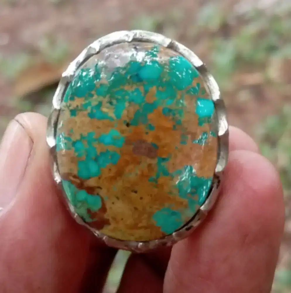 Pirus Persia Motif bonsai