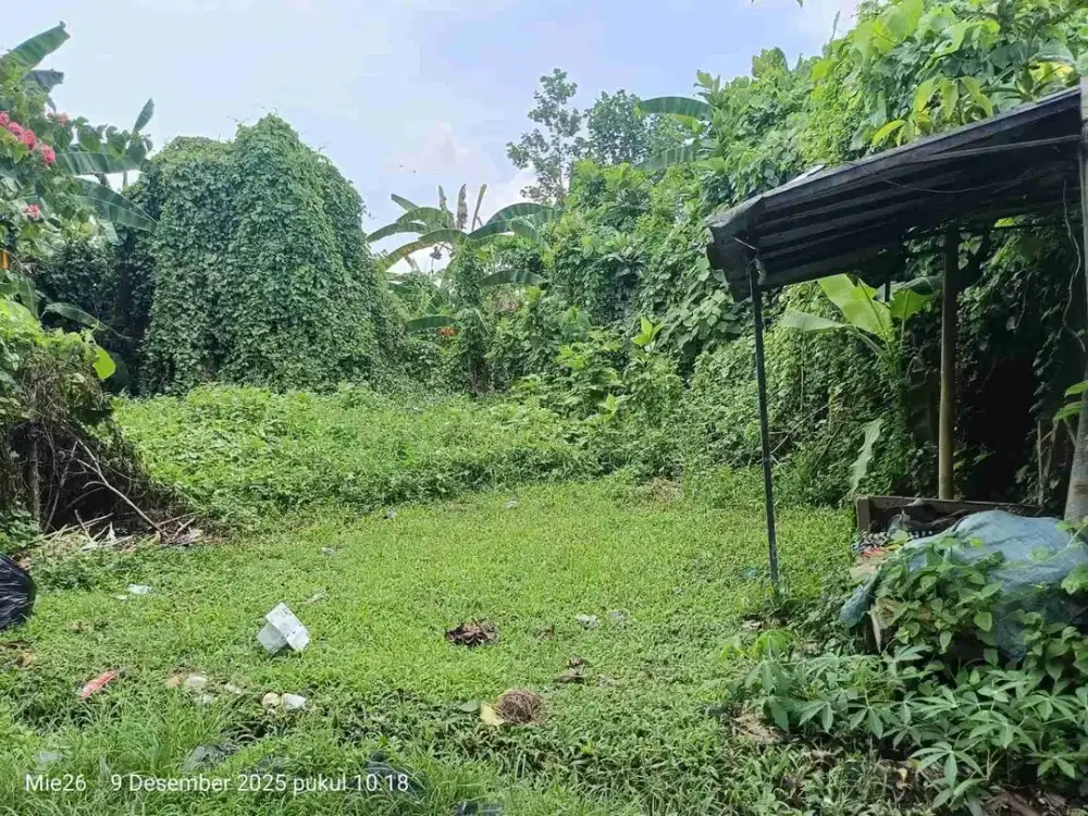 Tanah GLOBAL 300M2 utk VILLA, KOS, Rumah di Nyitdah Pantai Kedungu