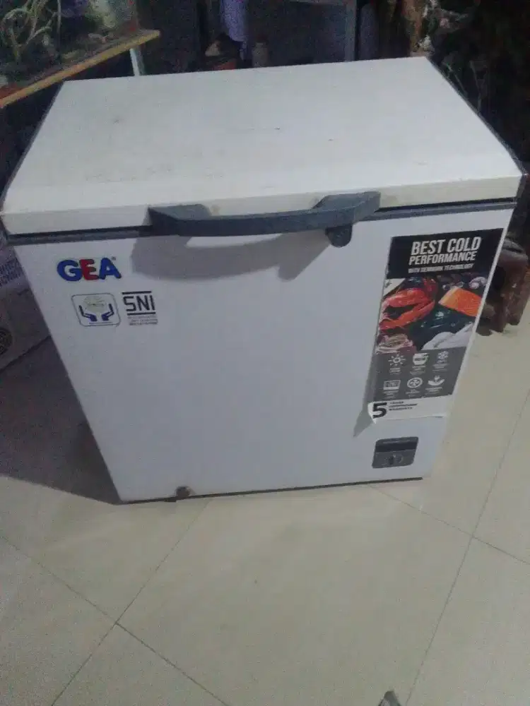 Frizer box GEA 200 liter