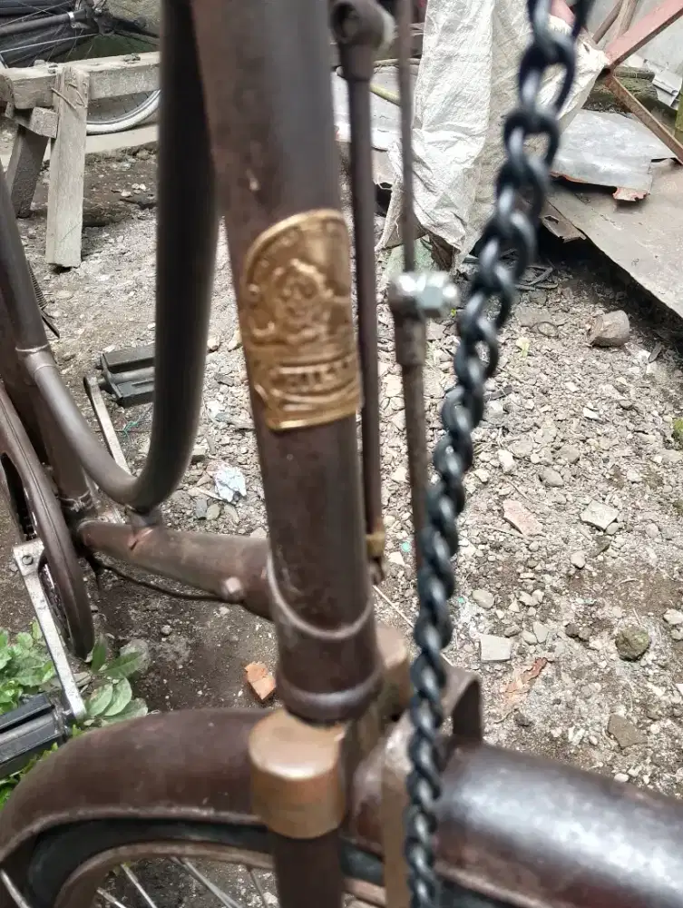 Dames Philips england