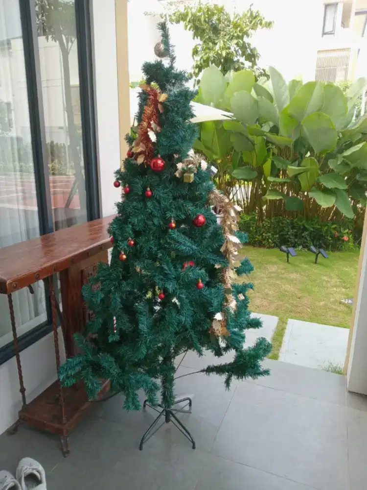 Pohon natal kondisi ok, dipakai untuk shooting saja