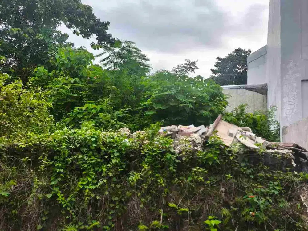 dijual tanah 4,84 are harga 850 juta per are dekat Nirmala Pecatu