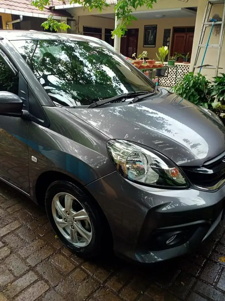 Brio Satya 2017 Manual Terawat