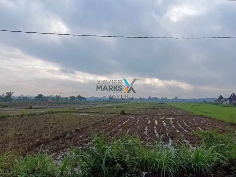 Dijual Tanah Lahan di Sekarpuro, Pakis Malang