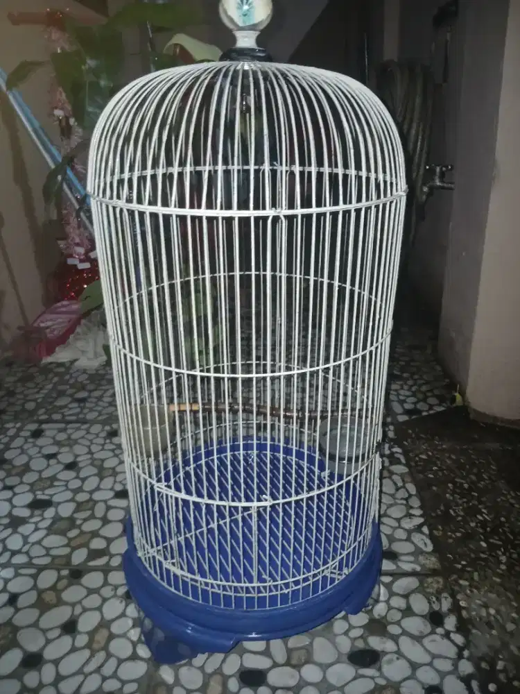 Jual aja ni kandang bekas pemakaian lovebird