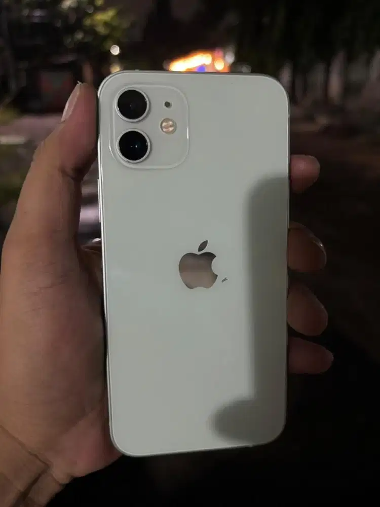 IPhone 12 Hijau 64 GB ( TT/BT )