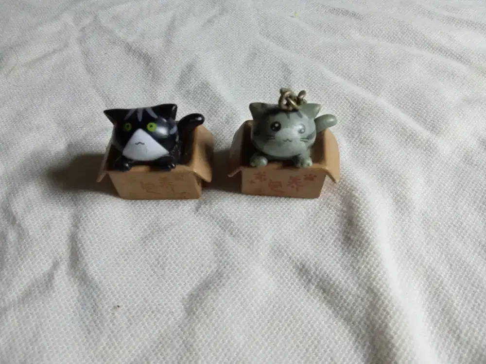Miniatur Cat Box, Kucing dalam Dus Lucu