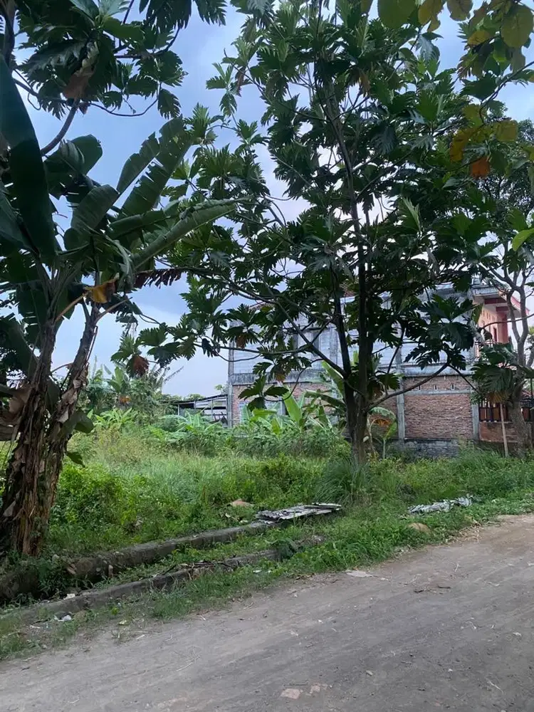 Tanah Murah Jl. Godean Km 9