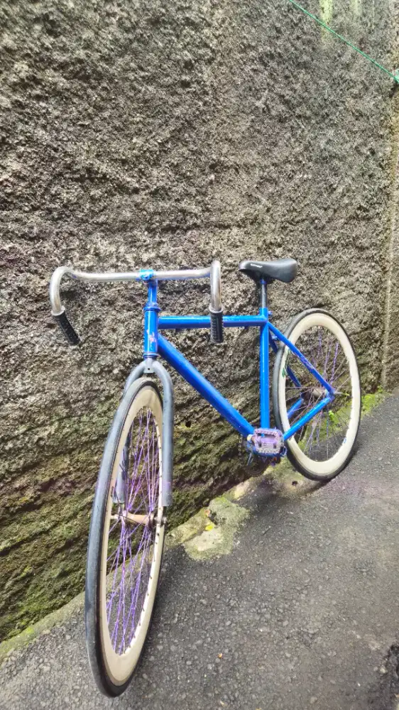 Dijual : sepeda fixie Custom