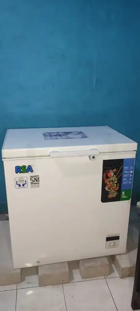 Freezer Box RSA 200 liter