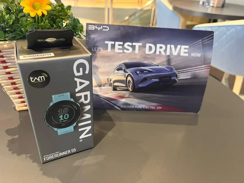 Garmin Forerunner 55