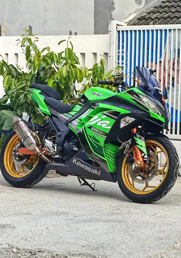Kawasaki Ninja 250FI