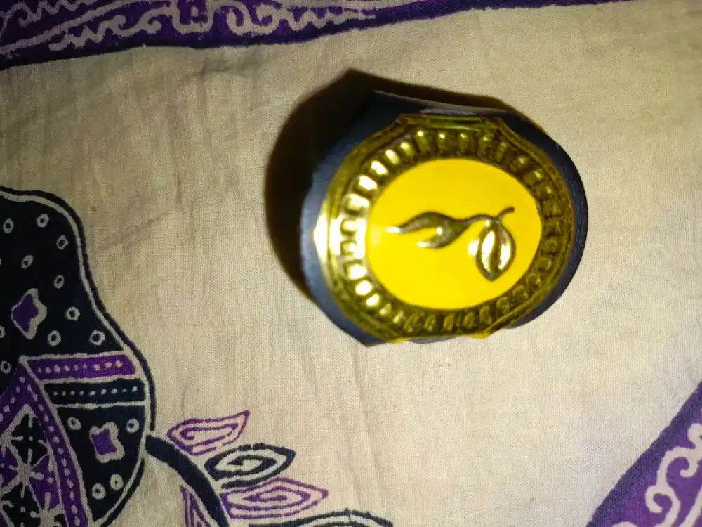 Ring Pramuka Penggalang