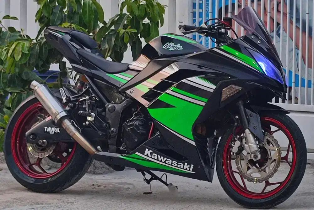 Kawasaki Ninja 250