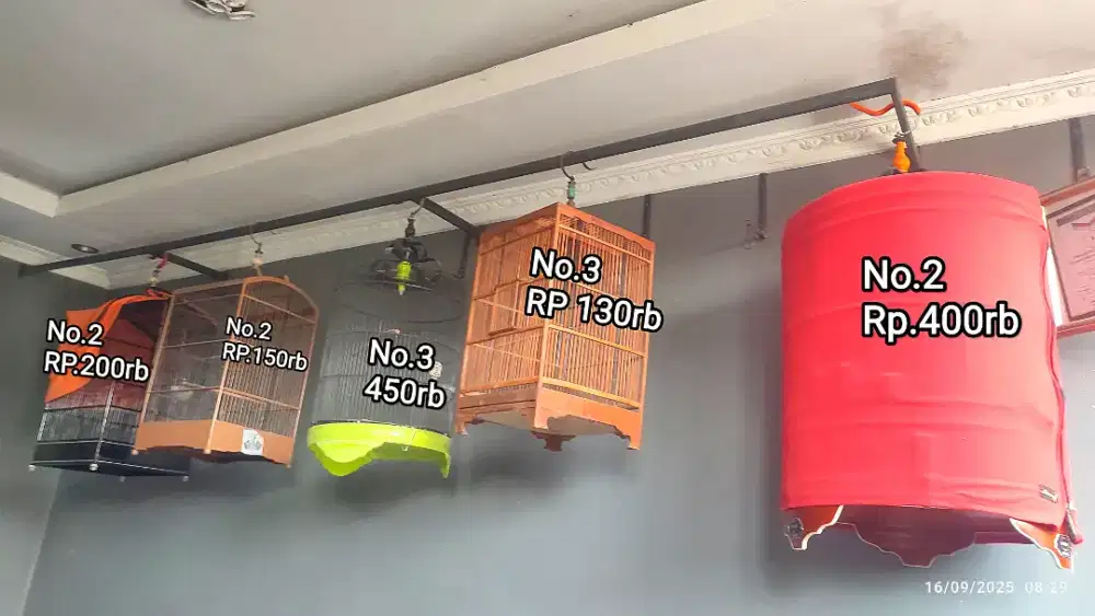 Sangkar kotak bulat burung