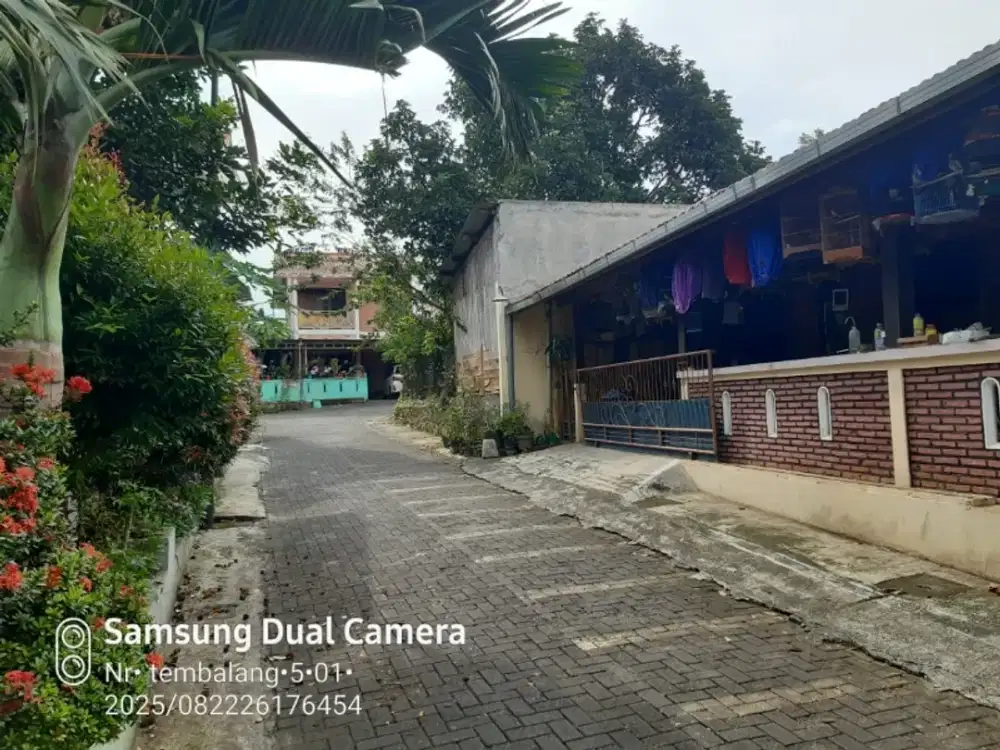 dijual tanah dikota semarang, jln mangga banyumanik