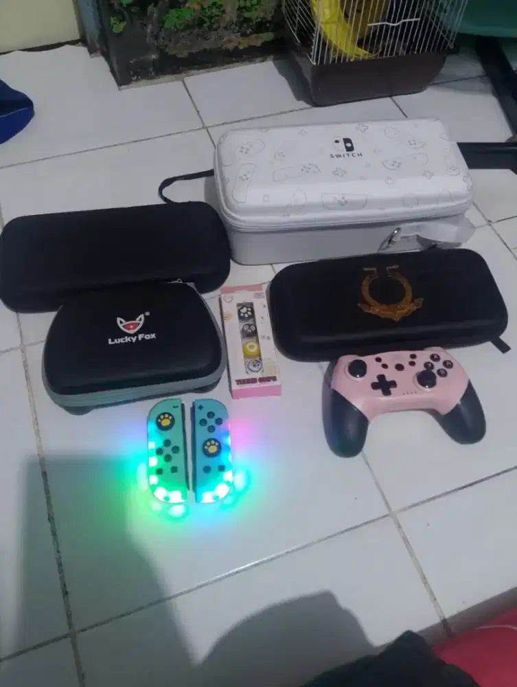 Asesoris Nintendo oled